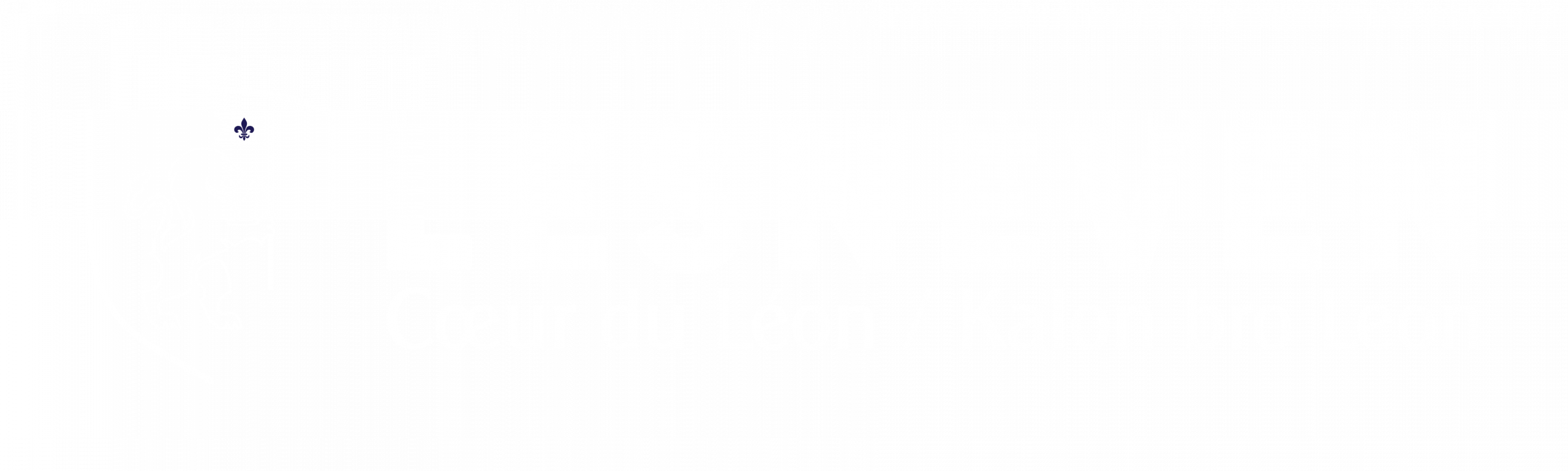 logo-lesneven